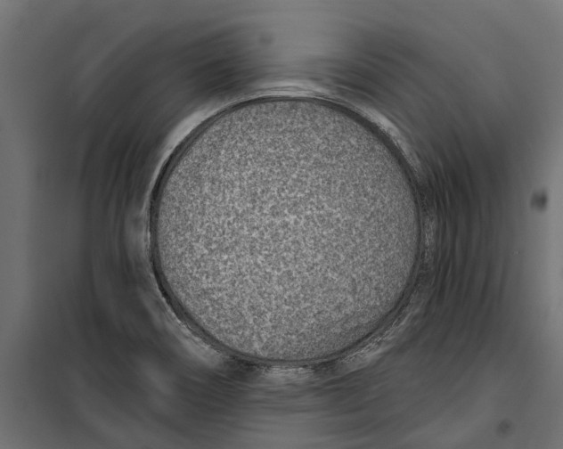 X0000099971466200806201349