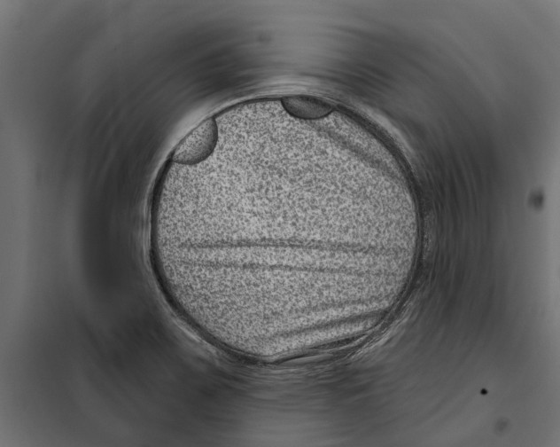 X0000099971467200806201349