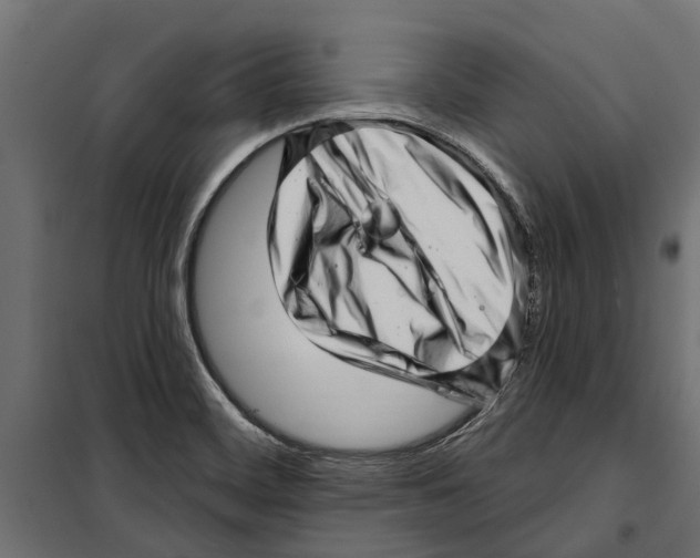 X0000099971468200806201349