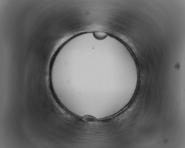 X0000099971469200806201349