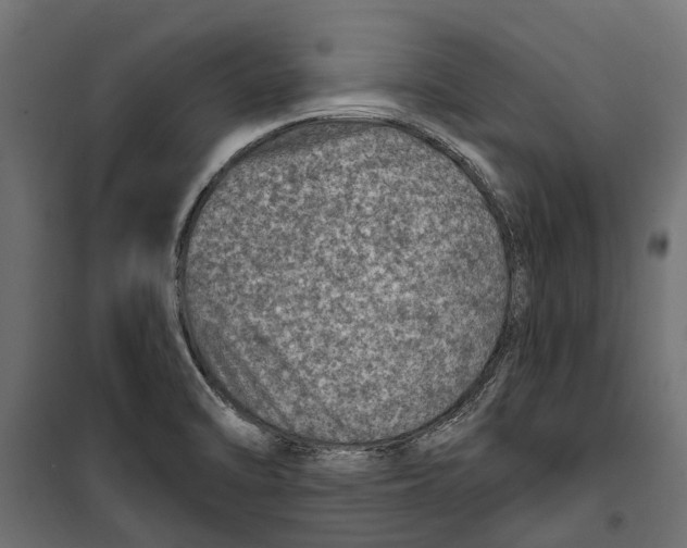 X0000099971470200806201349