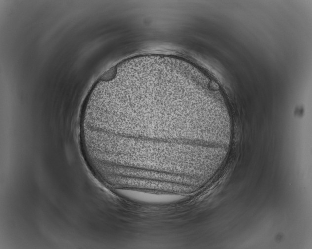 X0000099971471200806201349