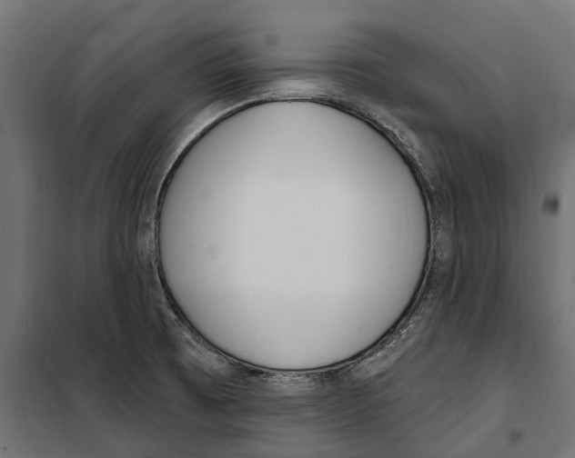 X0000099971473200806201349