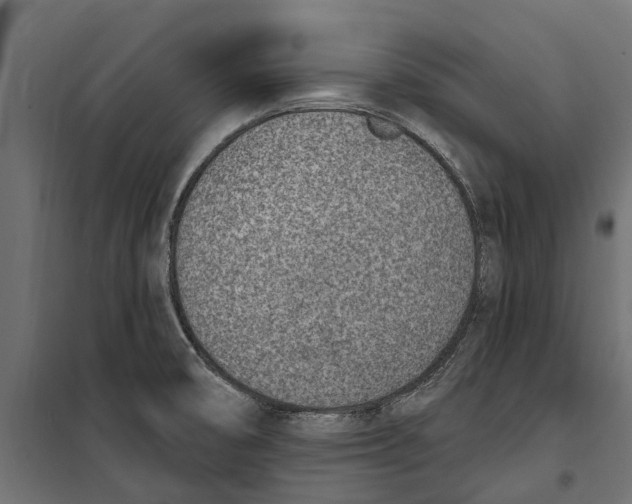 X0000099971474200806201349