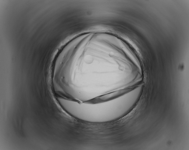 X0000099971477200806201349