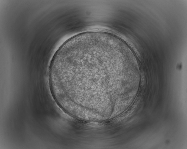 X0000099971478200806201349