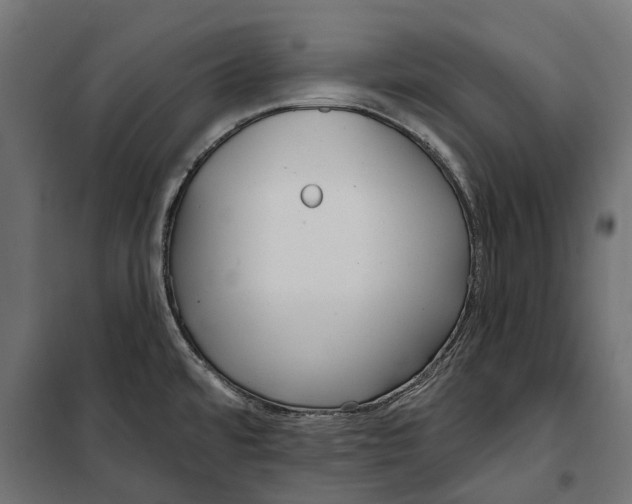 X0000099971480200806201349