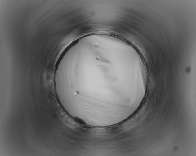 X0000099971481200806201349