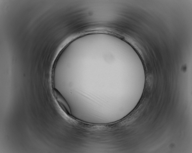 X0000099971482200806201349