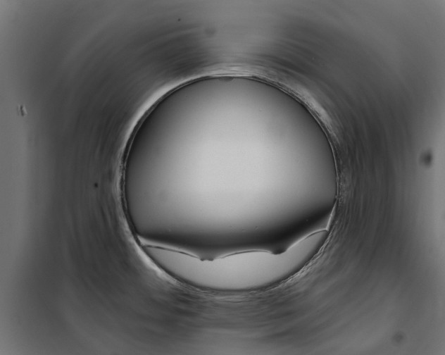 X0000099971484200806201349