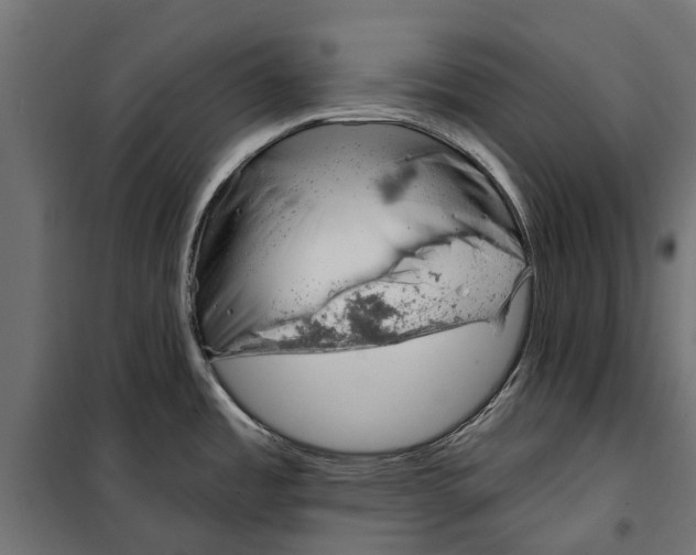 X0000099971485200806201349