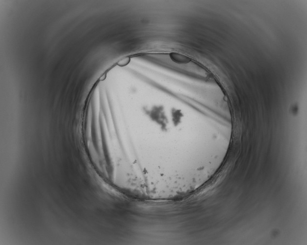 X0000099971486200806201349