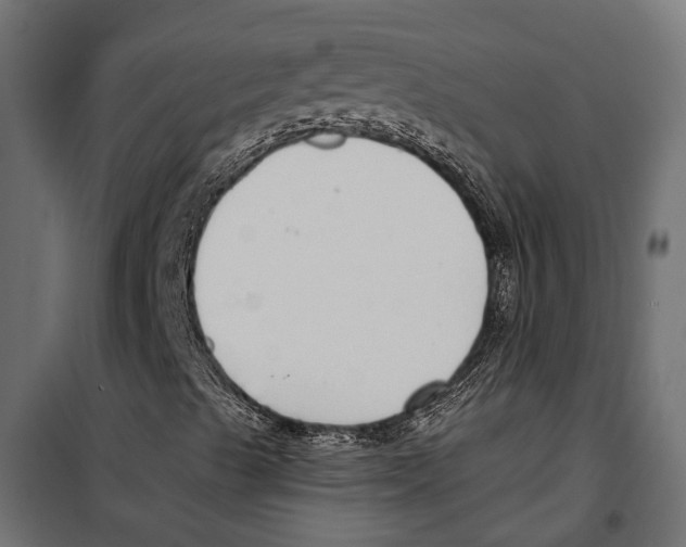 X0000099971489200806201348