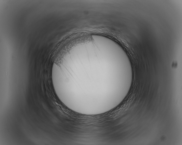 X0000099971492200806201348