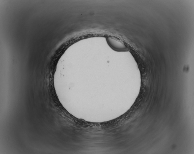 X0000099971495200806201348