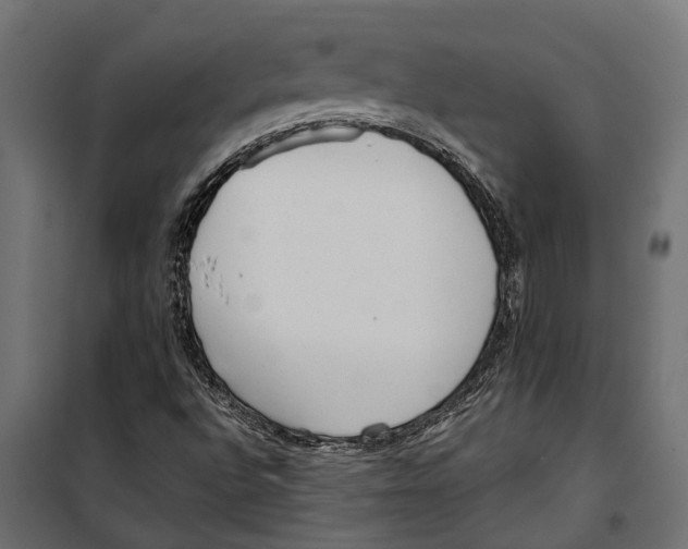 X0000099971496200806201348