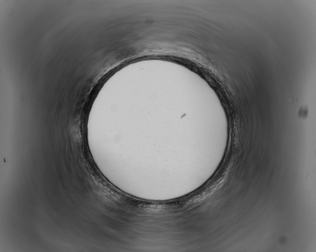 X0000099971497200806201348