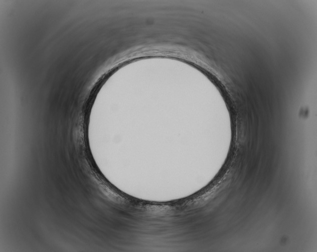 X0000099971498200806201348