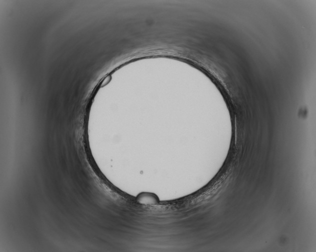 X0000099971500200806201348