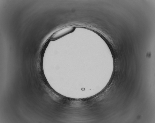 X0000099971502200806201348