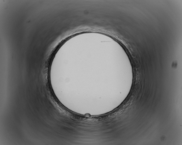 X0000099971503200806201348