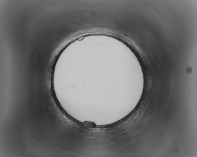 X0000099971504200806201348