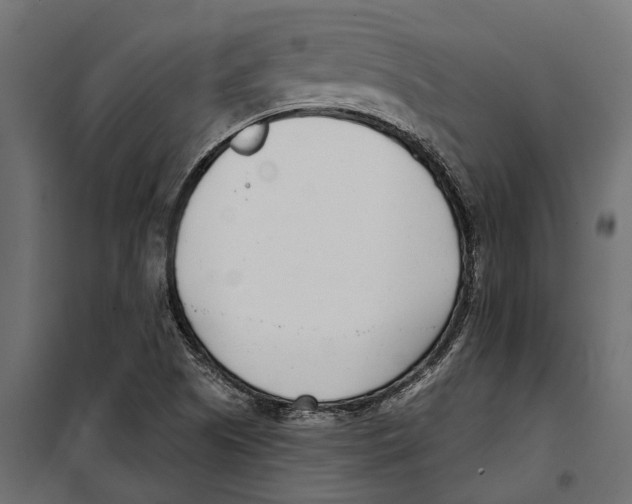 X0000099971505200806201348