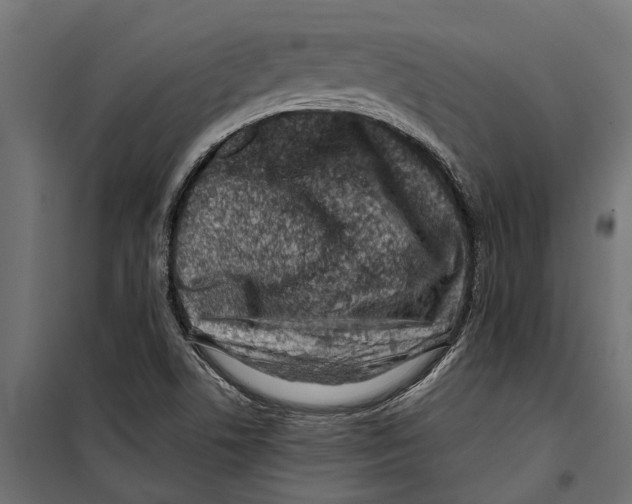 X0000099971506200806201348