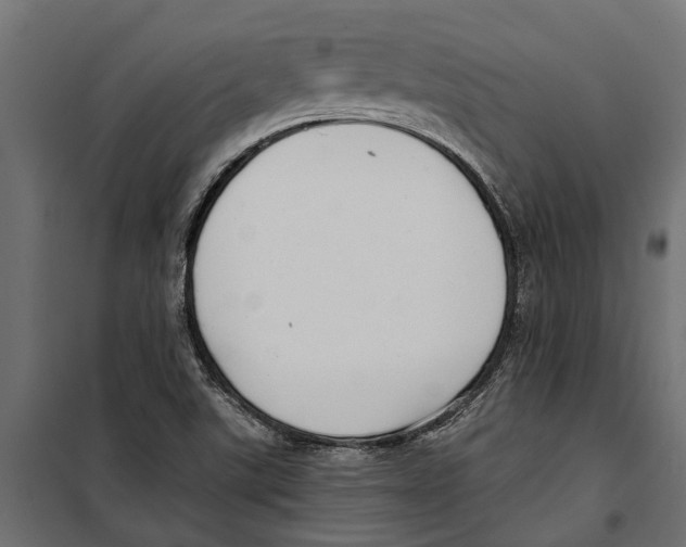 X0000099971507200806201348