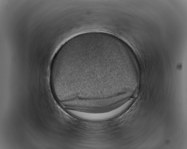 X0000099971508200806201348