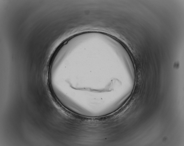 X0000099971511200806201348