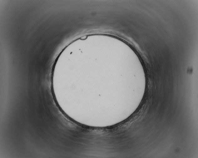 X0000099971512200806201348