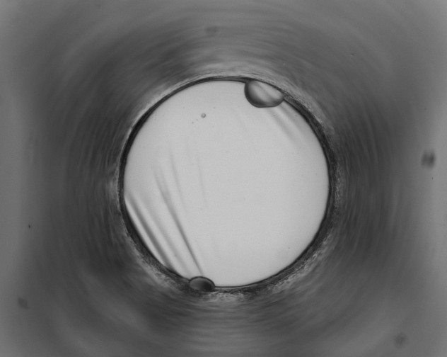 X0000099971513200806201349