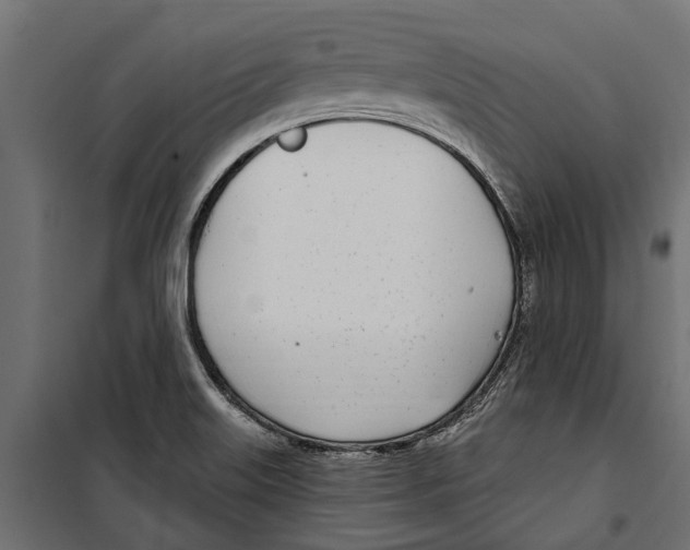 X0000099971515200806201349