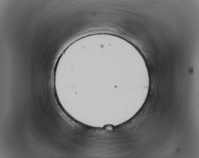 X0000099971516200806201349