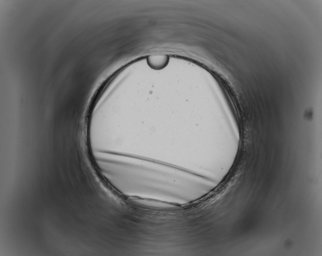 X0000099971517200806201349