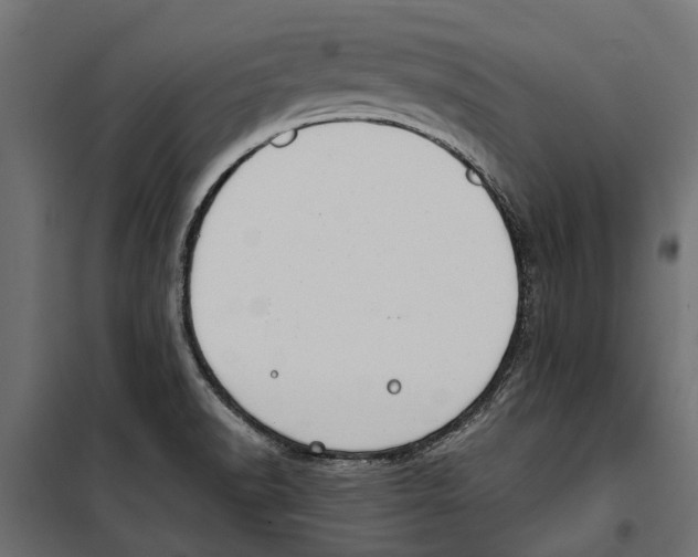 X0000099971518200806201349