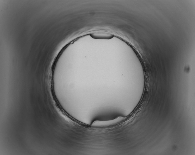 X0000099971519200806201349