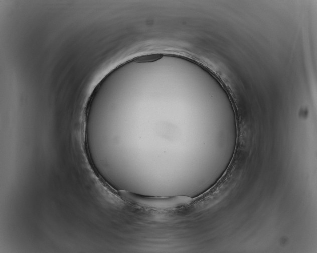 X0000099971520200806201349