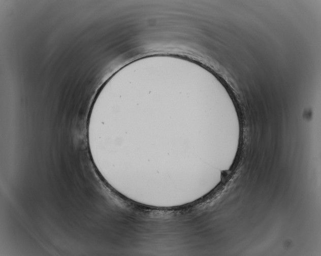 X0000099971521200806201349