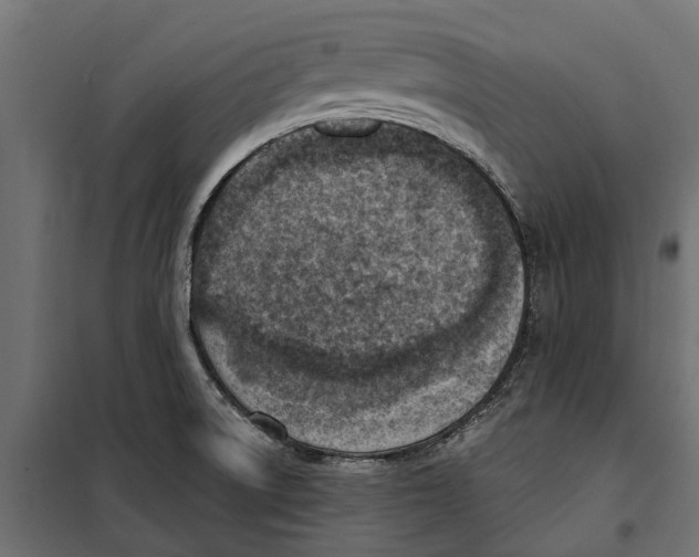 X0000099971522200806201349