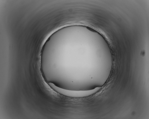 X0000099971524200806201349