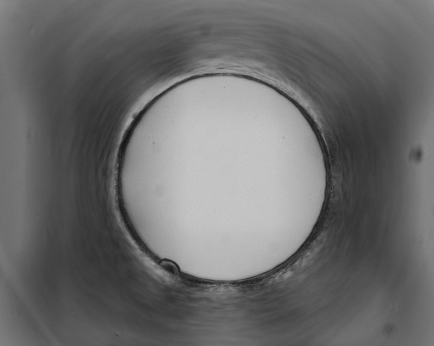 X0000099971525200806201349