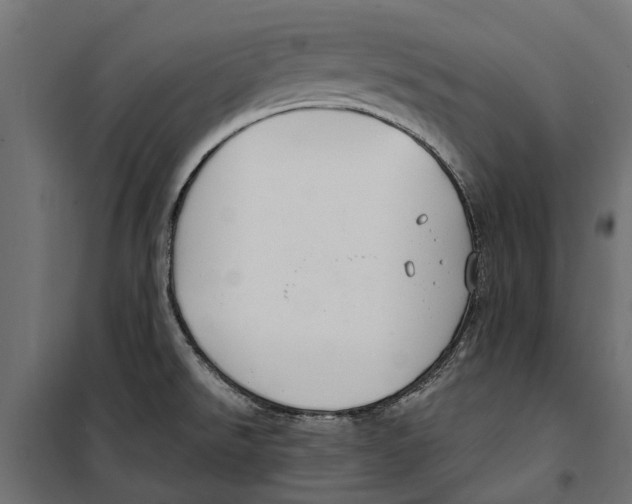 X0000099971526200806201349