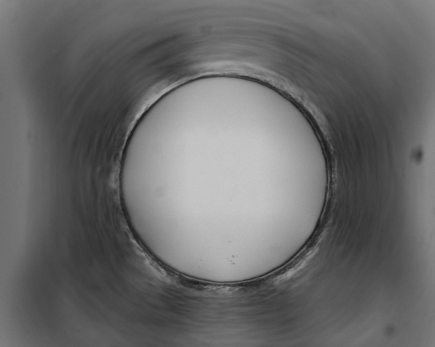 X0000099971529200806201349