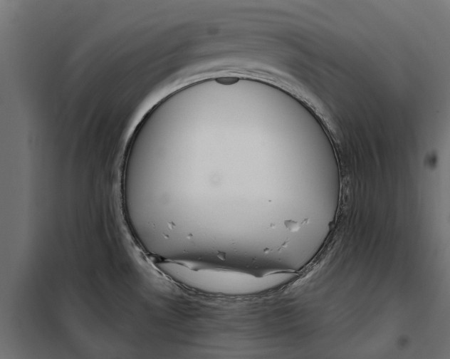 X0000099971530200806201349