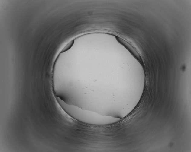 X0000099971532200806201349