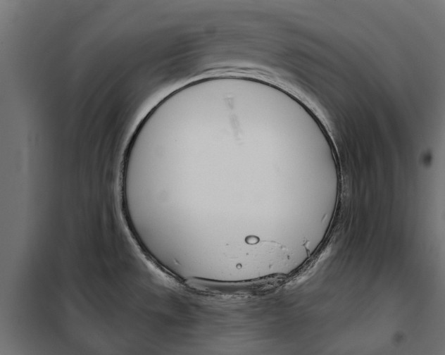 X0000099971533200806201349