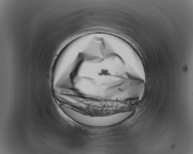 X0000099971535200806201349