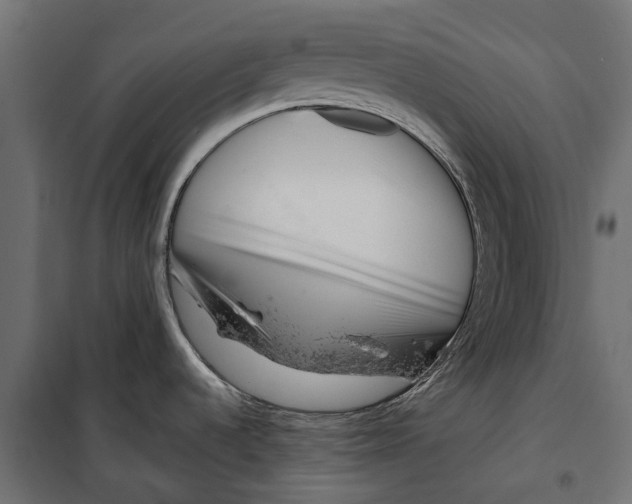 X0000099971536200806201349